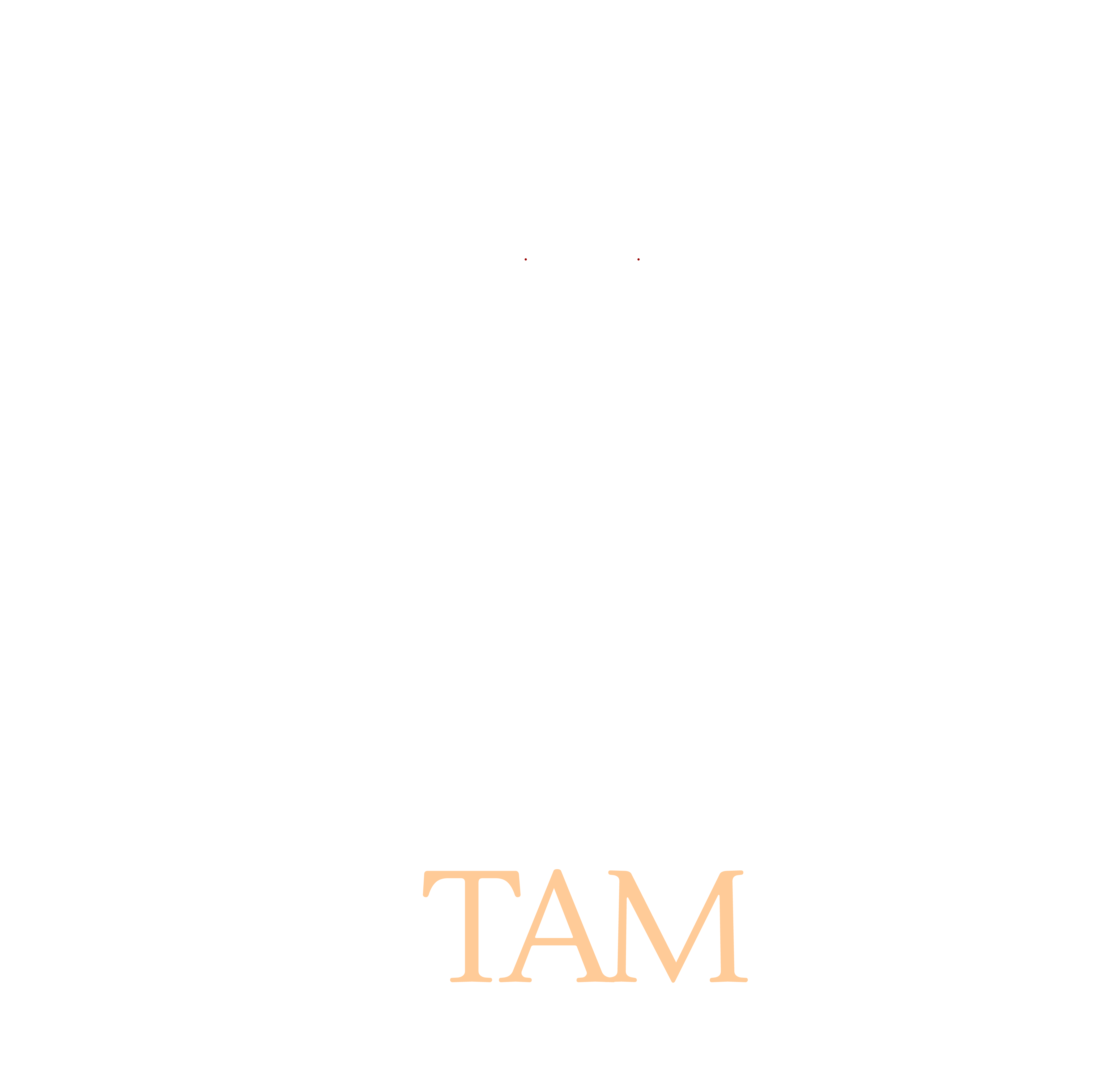 Patrocinadores